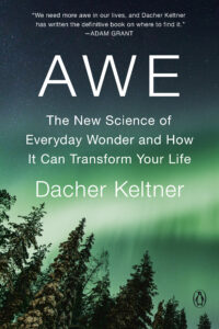 Book Cover: Awe: The New Science of Everyday Wonder and How it Can Transform Your Life