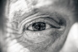 Close up of an elder's eye.