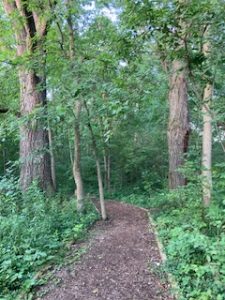 Forest Trail - Spirit & Place, IU Indianapolis