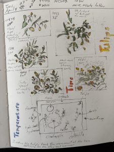 Nature Journaling 1a - Spirit & Place, IU Indianapolis