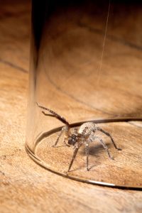 Fear Mercy Us - NEW PHOTOUSE THIS - Spirit & Place, IU Indianapolis